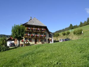 19571281-Ferienwohnung-4-Todtnau-300x225-4