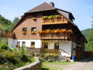 Ferienwohnung für 2 Personen (46 m²) in Todtnau