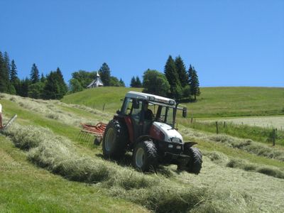 Heuernte im Juni