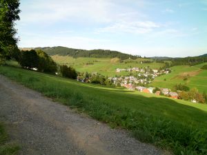 19052138-Ferienwohnung-5-Todtnau-300x225-4