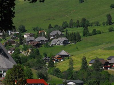 Ferienwohnung für 2 Personen (38 m²) in Todtnau 5/10