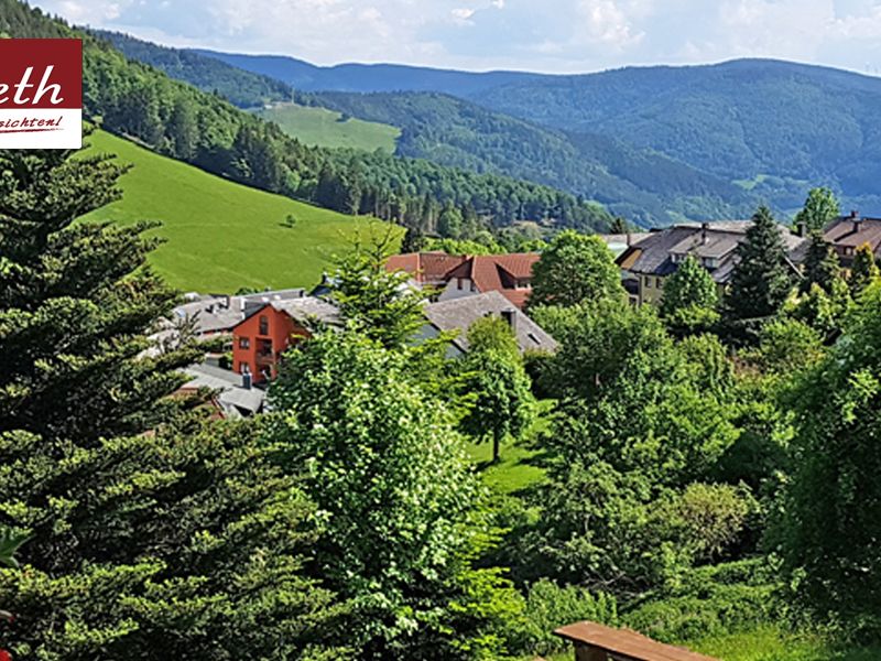 19041996-Ferienwohnung-1-Todtnau-800x600-2