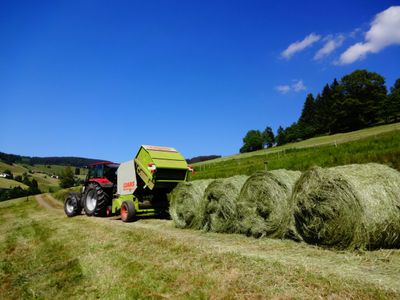 Traktor beim Heuen