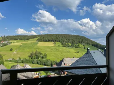 Ferienwohnung für 7 Personen (50 m²) in Todtnau 9/10