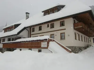 Ferienwohnung für 3 Personen (50 m²) in Todtnau 3/10