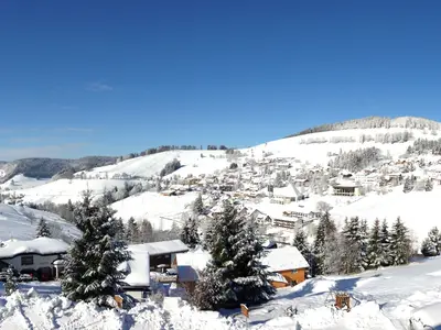 Winterpanorama