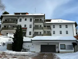 Ferienwohnung für 10 Personen (38 m²) in Todtnauberg