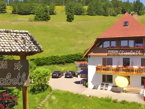 Ferienwohnung für 1 Person (22 m²) in Todtnau