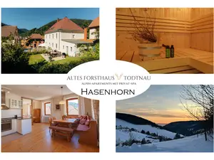 Ferienwohnung für 10 Personen (150 m²) in Todtnau