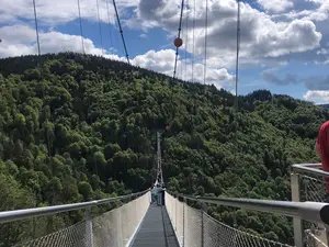 Ferienwohnung für 1 Person (22 m²) in Todtnau
