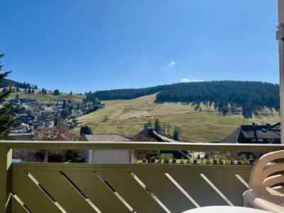 Ferienwohnung für 6 Personen (50 m²) in Todtnau 7/10