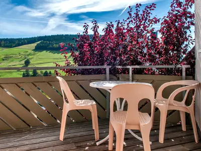 Ferienwohnung für 4 Personen (40 m²) in Todtnau 4/10