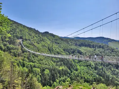 Ferienwohnung für 4 Personen (40 m²) in Todtnau 3/10