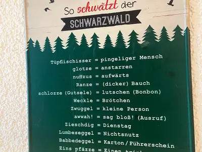 Ferienwohnung für 4 Personen (40 m²) in Todtnau 5/10