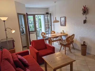 Ferienwohnung für 4 Personen (40 m²) in Todtnau 8/10