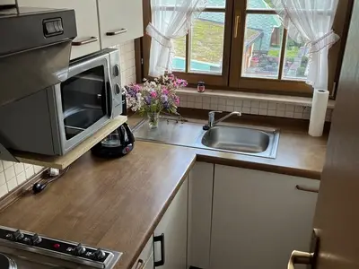 Ferienwohnung für 4 Personen (40 m²) in Todtnau 9/10