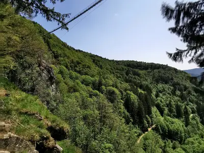 Ferienwohnung für 6 Personen (50 m²) in Todtnau 8/10