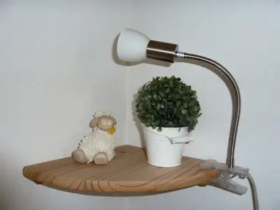 Schäfchen müssen sein...