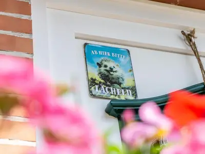 Ferienwohnung für 4 Personen (45 m²) in Tönning 3/10
