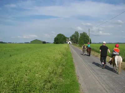 Geführtes Ponyreiten ist immer wieder ein Highlight