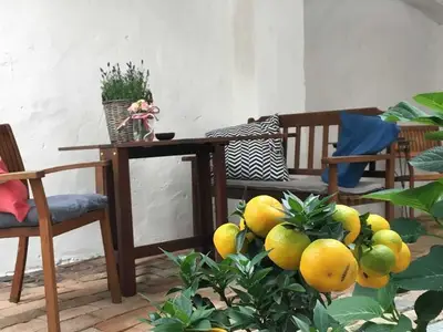Ferienwohnung für 4 Personen (50 m²) in Torgau 6/10