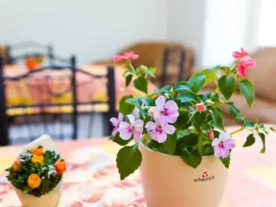 Ferienwohnung für 2 Personen in Torgau 4/4