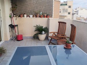 23488880-Ferienwohnung-6-Torrevieja-300x225-4