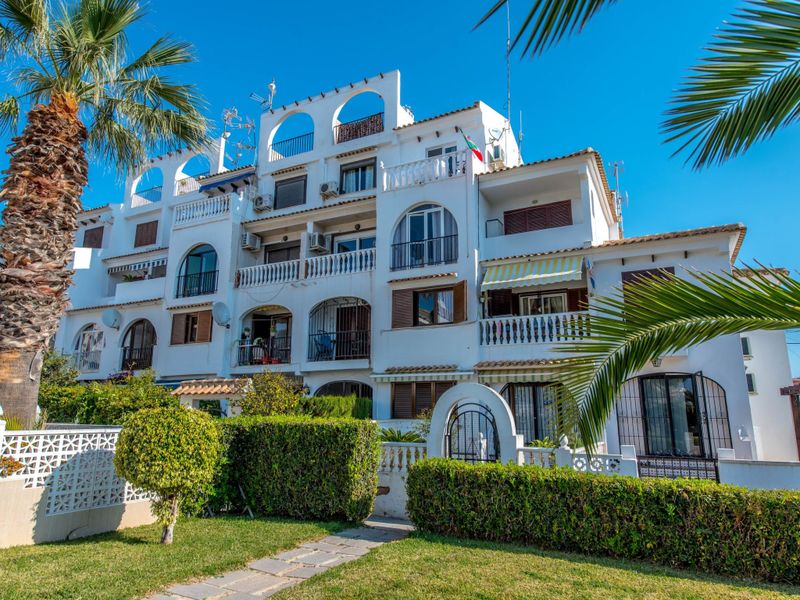 23838718-Ferienwohnung-3-Torrevieja-800x600-2