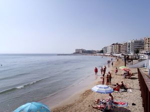 23838718-Ferienwohnung-3-Torrevieja-300x225-3