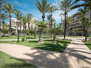 23119615-Ferienwohnung-4-Torrevieja-300x225-2