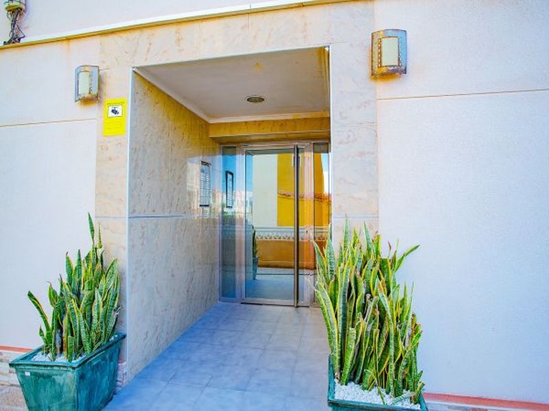 23467980-Ferienwohnung-3-Torrevieja-800x600-2