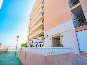 23467980-Ferienwohnung-3-Torrevieja-300x225-3