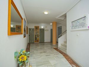 23648086-Ferienwohnung-6-Torrevieja-300x225-5