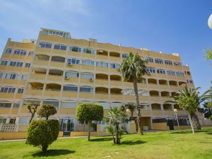 23660416-Ferienwohnung-5-Torrevieja-300x225-4