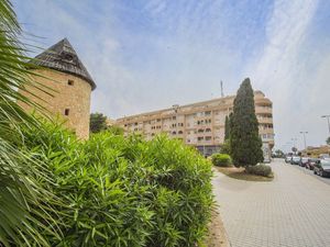 23674416-Ferienwohnung-6-Torrevieja-300x225-0