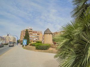 23674416-Ferienwohnung-6-Torrevieja-300x225-2