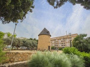 23674416-Ferienwohnung-6-Torrevieja-300x225-3