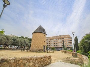 23674416-Ferienwohnung-6-Torrevieja-300x225-5