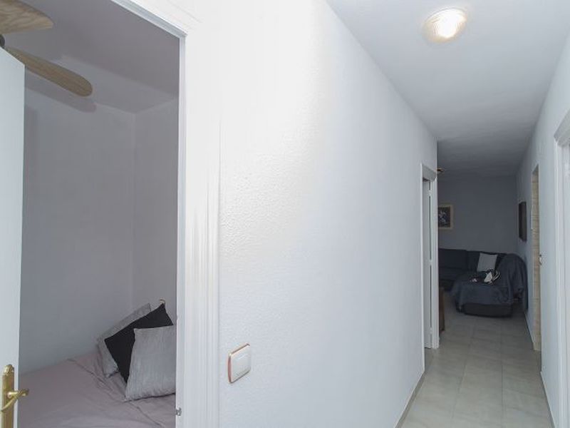 23679478-Ferienwohnung-4-Torrevieja-800x600-1