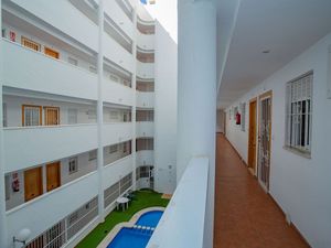 23494132-Ferienwohnung-4-Torrevieja-300x225-2