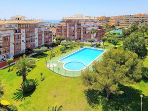 24001716-Ferienwohnung-4-Torrevieja-300x225-0