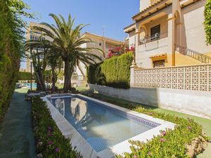 24016581-Ferienwohnung-6-Torrevieja-300x225-5