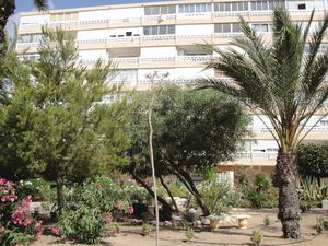 23733373-Ferienwohnung-3-Torrevieja-300x225-2