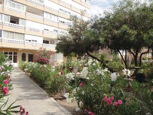 23733373-Ferienwohnung-3-Torrevieja-300x225-4