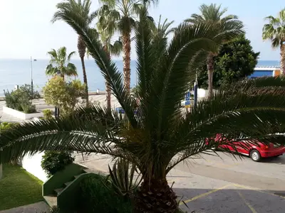 Ausblick aus dem Fenster