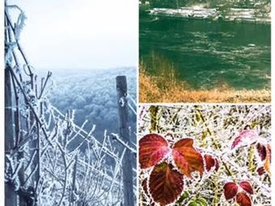 Winter-Impressionen