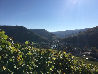 Mosel und Wein