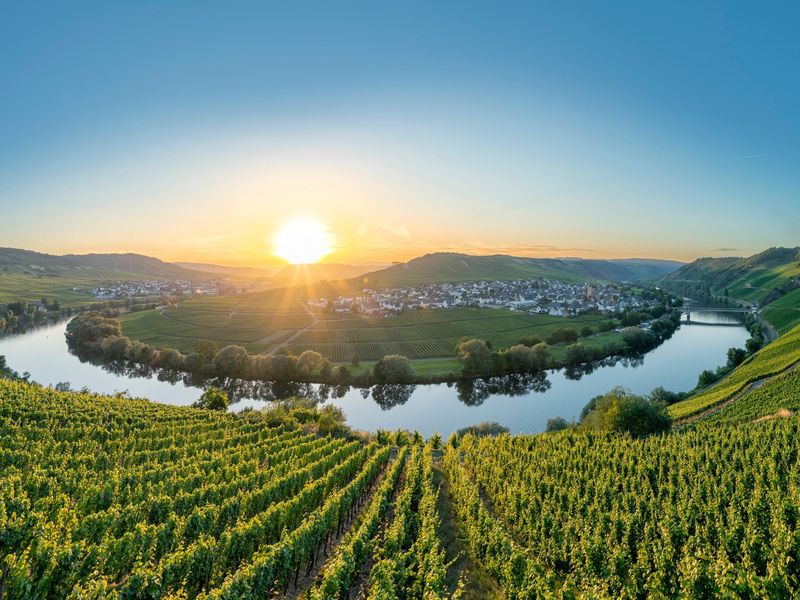 19341267-Ferienwohnung-2-Traben-Trarbach-800x600-2