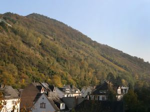 23840320-Ferienwohnung-4-Traben-Trarbach-300x225-1