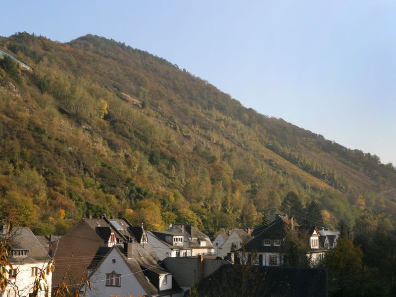 23840320-Ferienwohnung-4-Traben-Trarbach-800x600-1